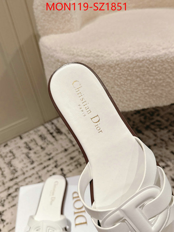 Women Shoes-Dior cheap replica designer ID: SZ1851 $: 119USD