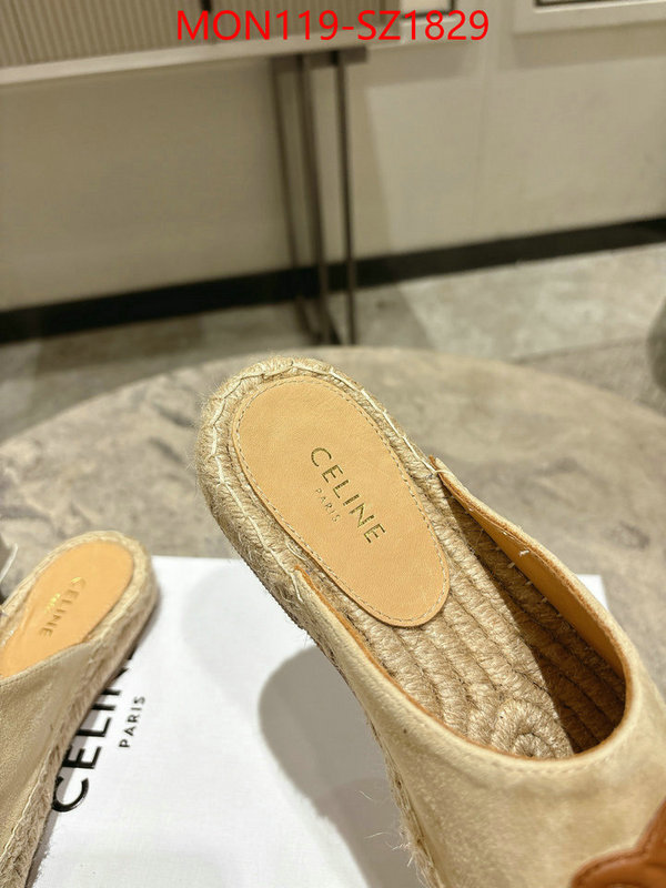 Women Shoes-CELINE what are the best replica ID: SZ1829 $: 119USD