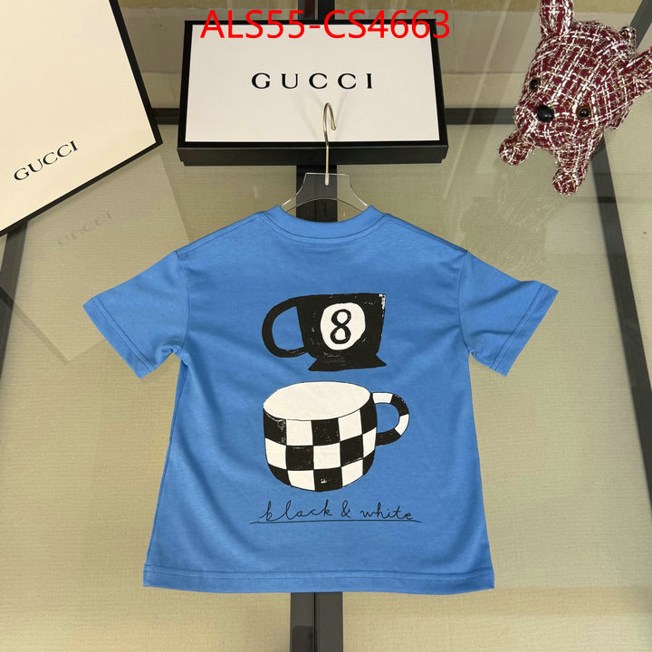 ID: CS4663