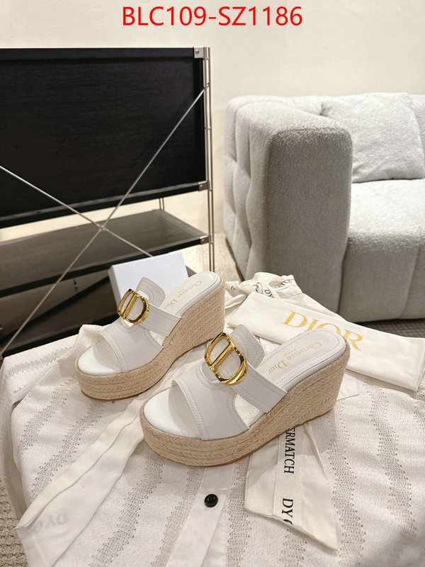 Women Shoes-Dior where to find the best replicas ID: SZ1186 $: 109USD