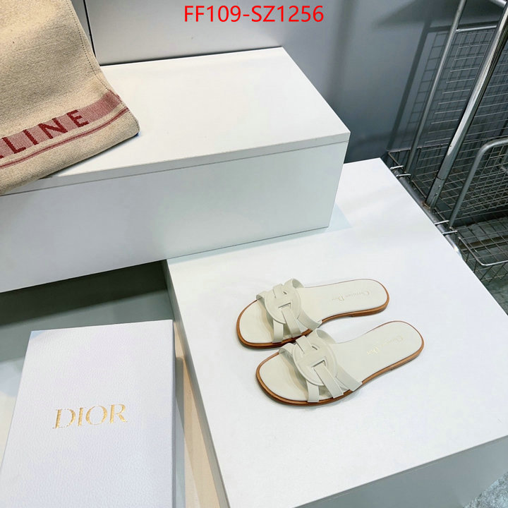 Women Shoes-Dior buying replica ID: SZ1256 $: 109USD
