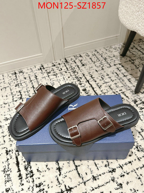 Men shoes-Dior top ID: SZ1857 $: 125USD