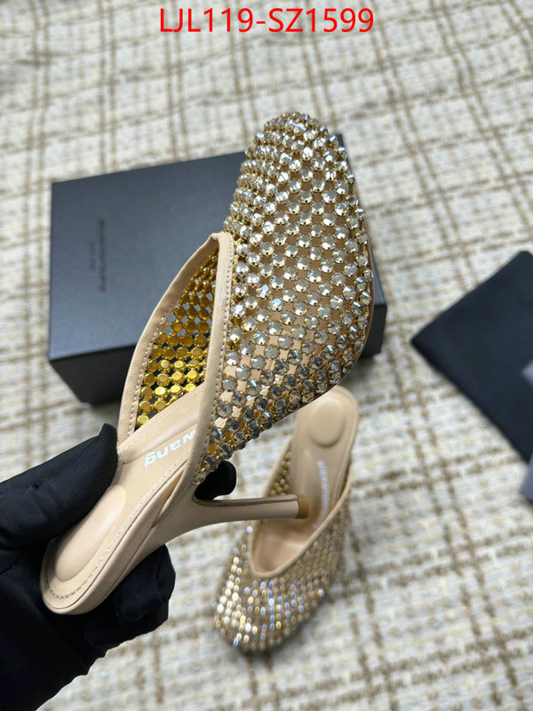 Women Shoes-Alexander Wang what is top quality replica ID: SZ1599 $: 119USD