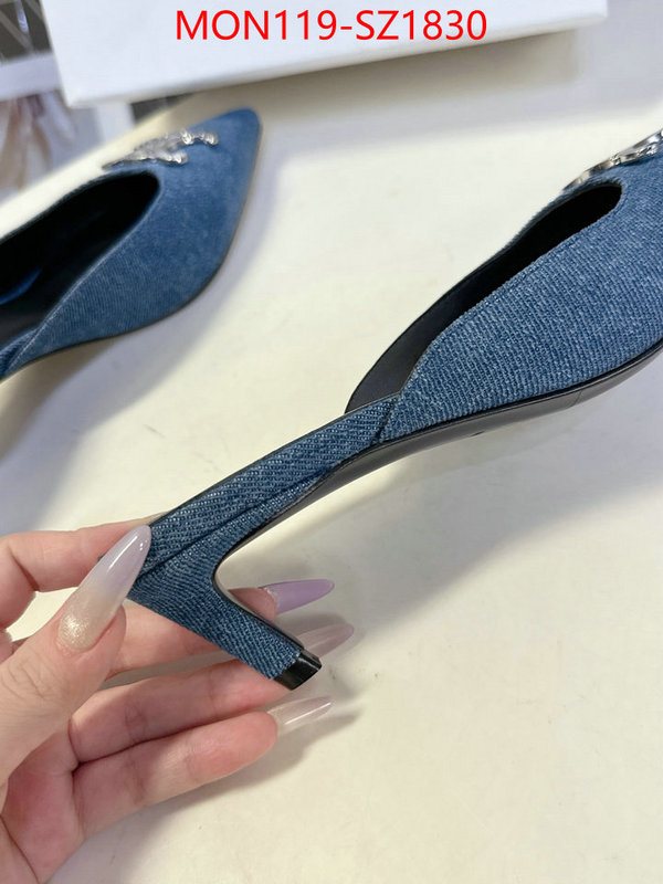 Women Shoes-CELINE sellers online ID: SZ1830 $: 119USD