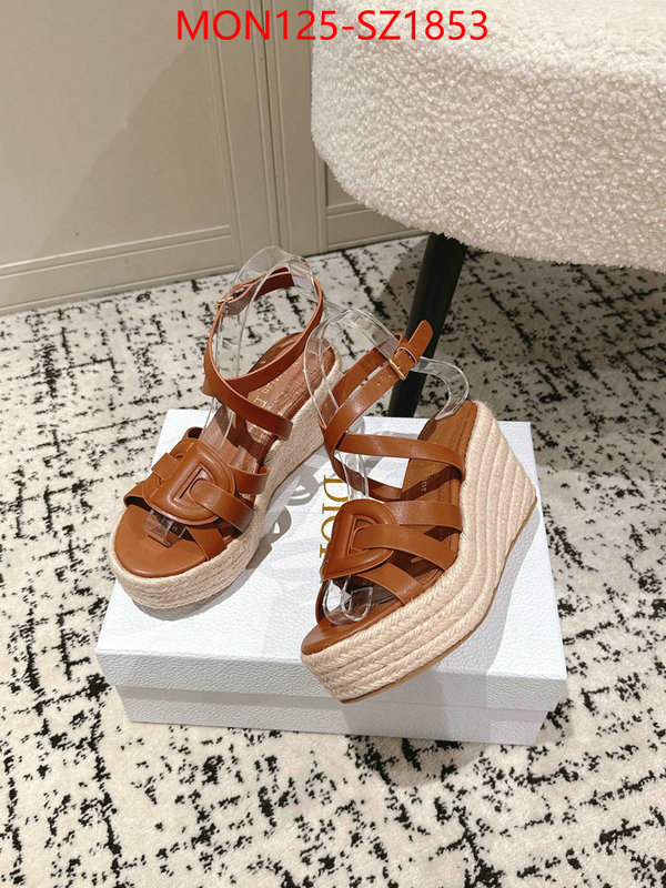 Women Shoes-Dior how to start selling replica ID: SZ1853 $: 125USD