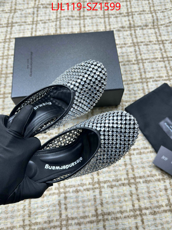 Women Shoes-Alexander Wang what is top quality replica ID: SZ1599 $: 119USD