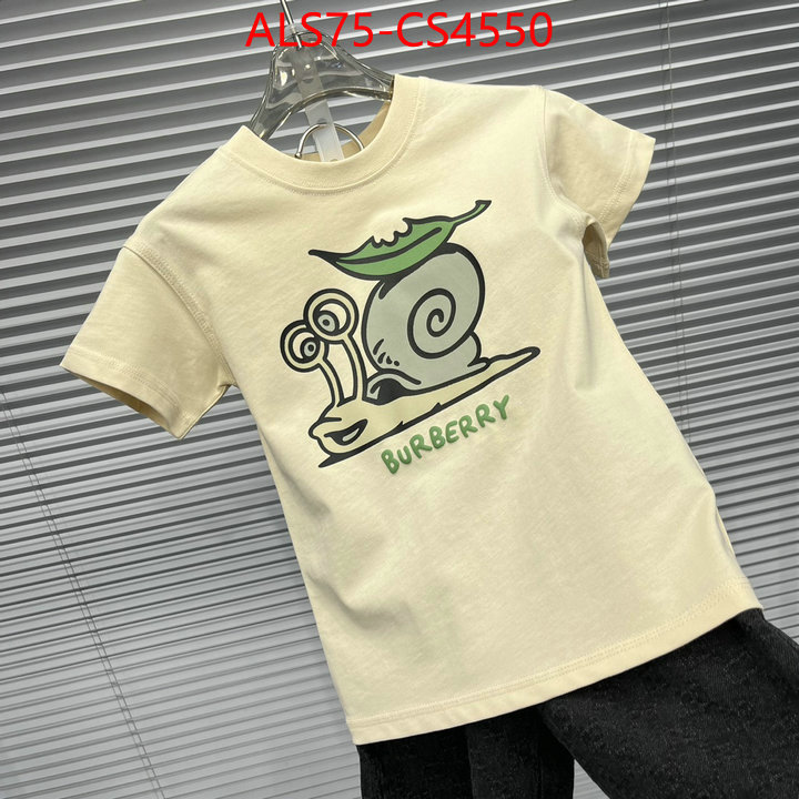 ID: CS4550