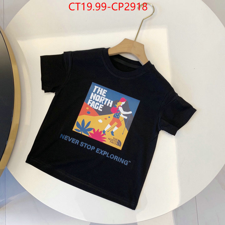 ID: CP2918