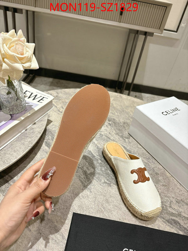 Women Shoes-CELINE what are the best replica ID: SZ1829 $: 119USD