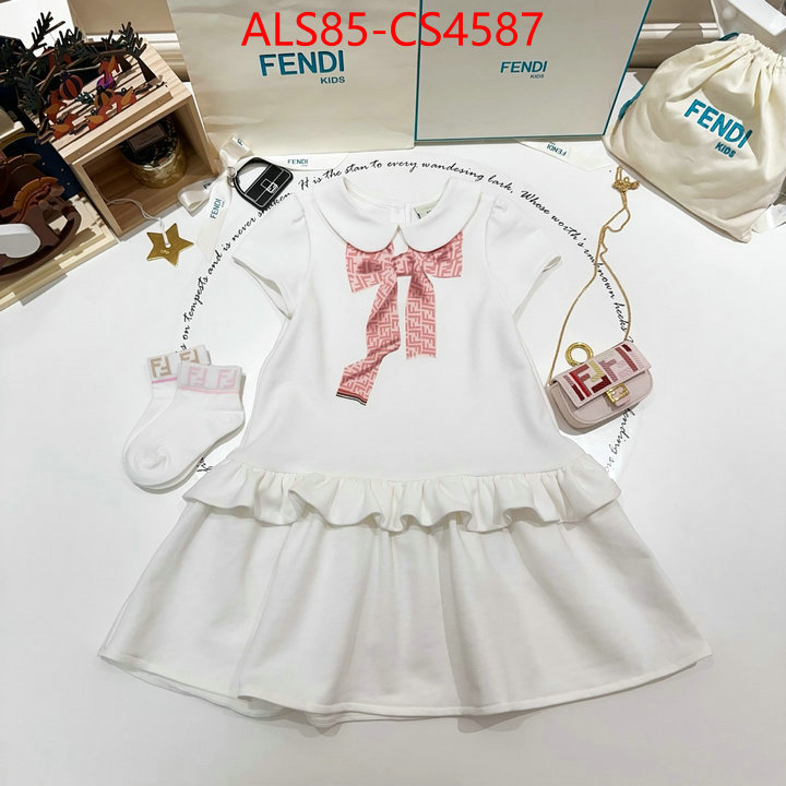 ID: CS4587