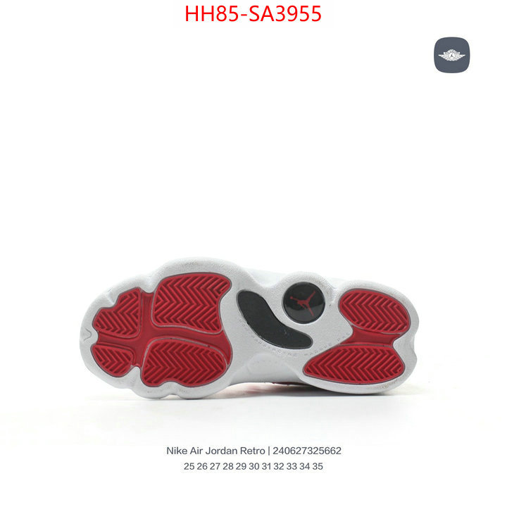 ID: SA3955