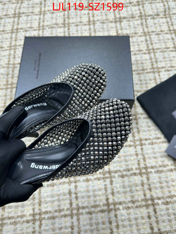 Women Shoes-Alexander Wang what is top quality replica ID: SZ1599 $: 119USD