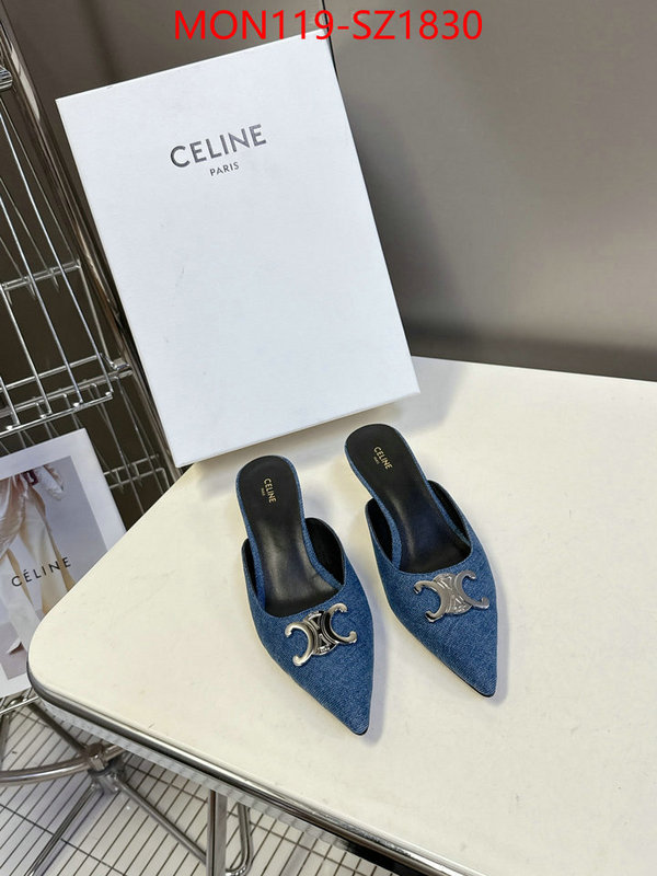 Women Shoes-CELINE sellers online ID: SZ1830 $: 119USD