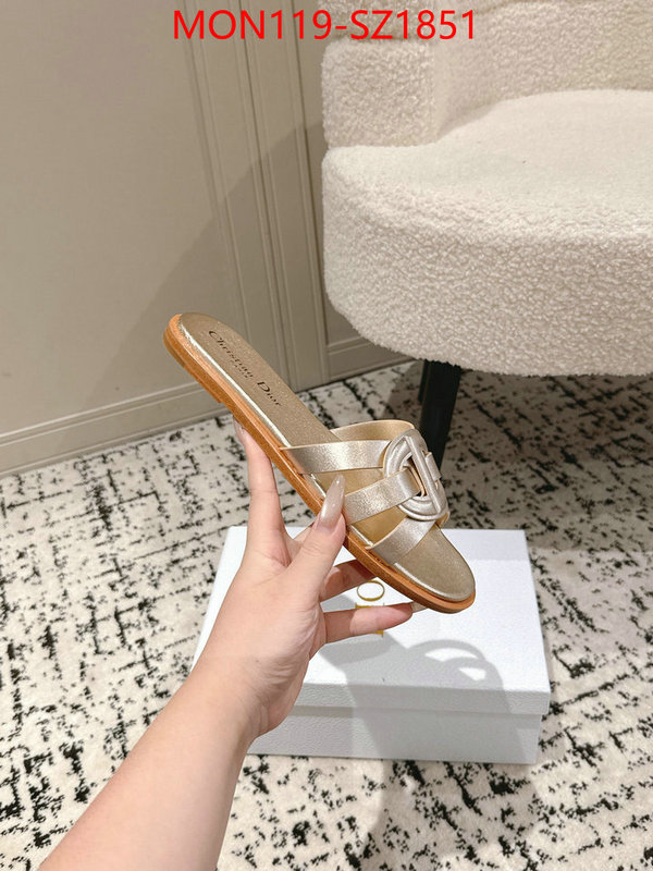 Women Shoes-Dior cheap replica designer ID: SZ1851 $: 119USD