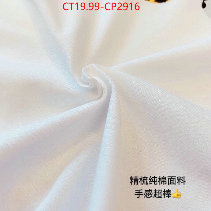 ID: CP2916