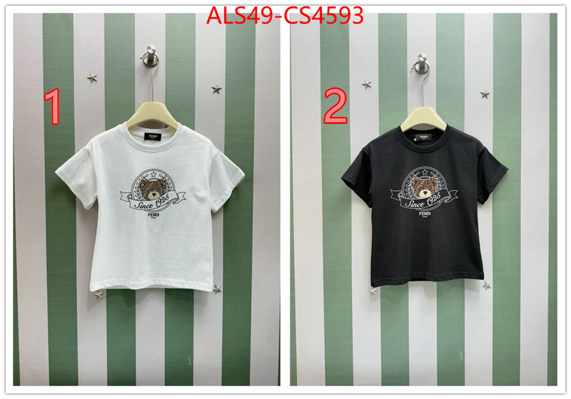 ID: CS4593