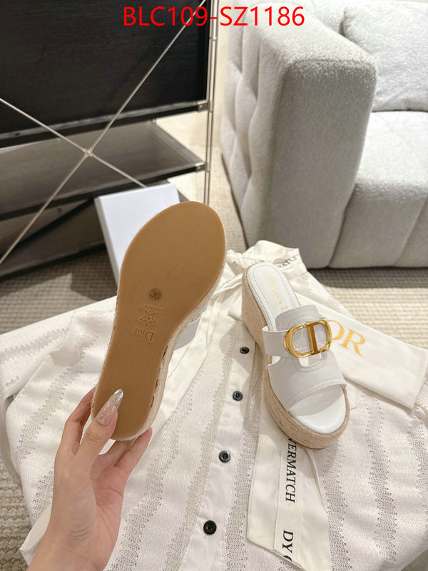 Women Shoes-Dior where to find the best replicas ID: SZ1186 $: 109USD