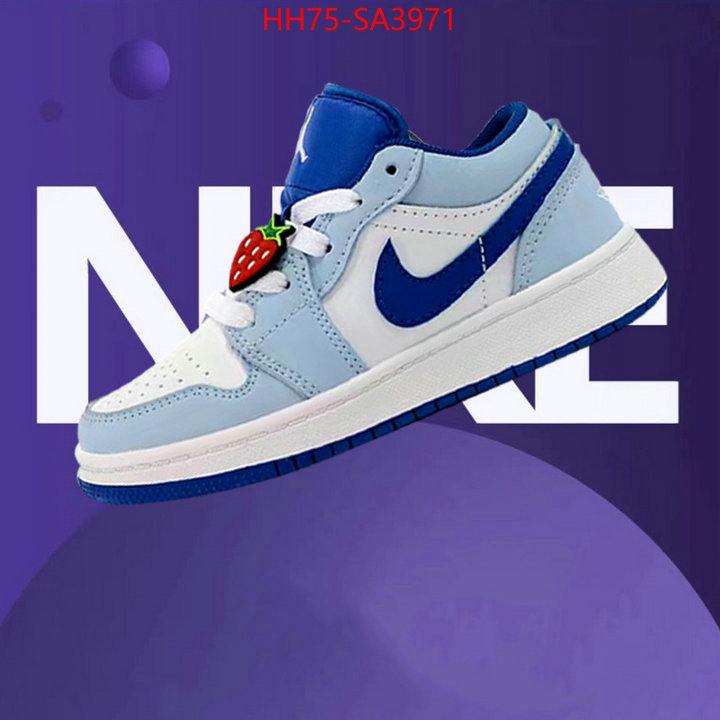 ID: SA3971