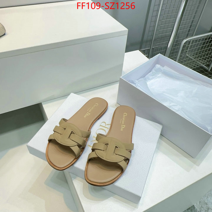 Women Shoes-Dior buying replica ID: SZ1256 $: 109USD