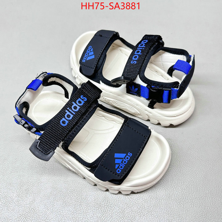 ID: SA3881