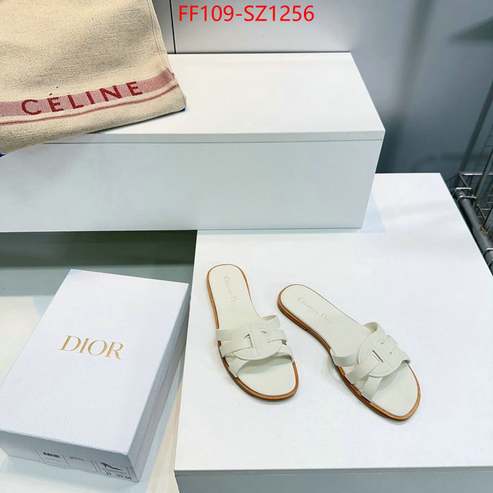 Women Shoes-Dior buying replica ID: SZ1256 $: 109USD