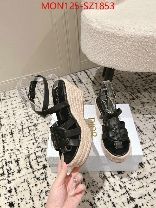 Women Shoes-Dior how to start selling replica ID: SZ1853 $: 125USD
