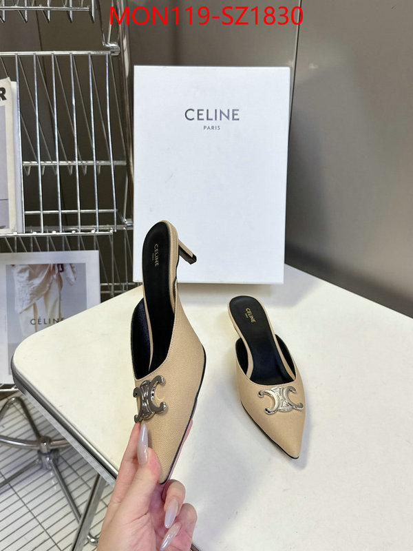 Women Shoes-CELINE sellers online ID: SZ1830 $: 119USD