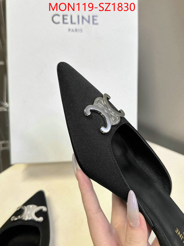 Women Shoes-CELINE sellers online ID: SZ1830 $: 119USD