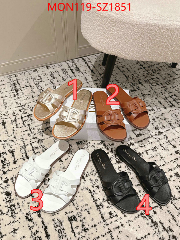 Women Shoes-Dior cheap replica designer ID: SZ1851 $: 119USD