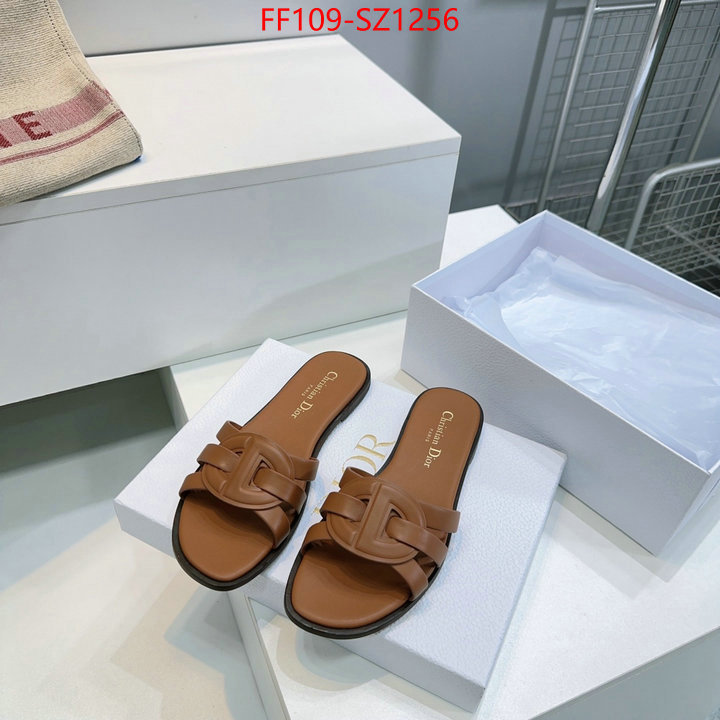 Women Shoes-Dior buying replica ID: SZ1256 $: 109USD