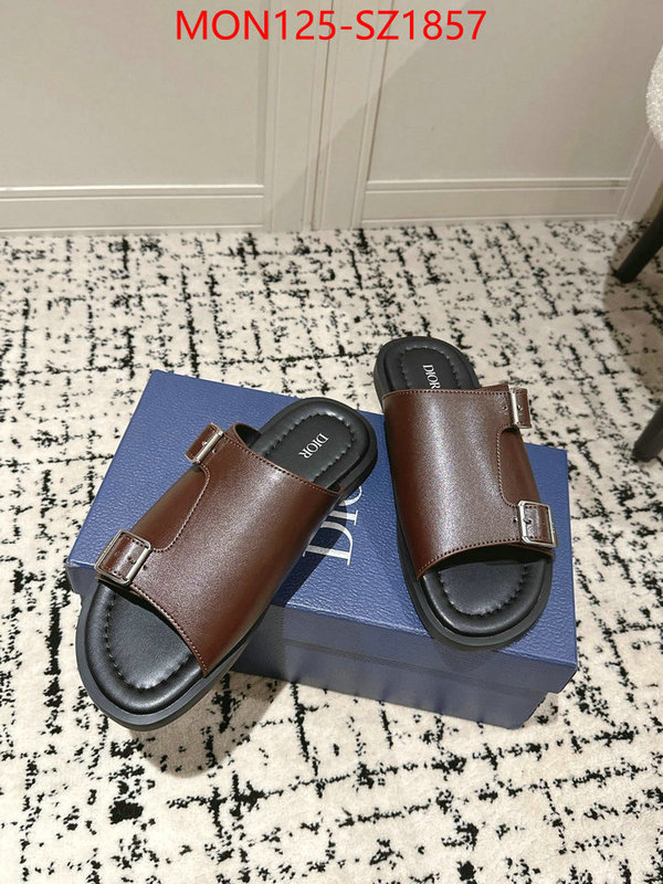 Men shoes-Dior top ID: SZ1857 $: 125USD