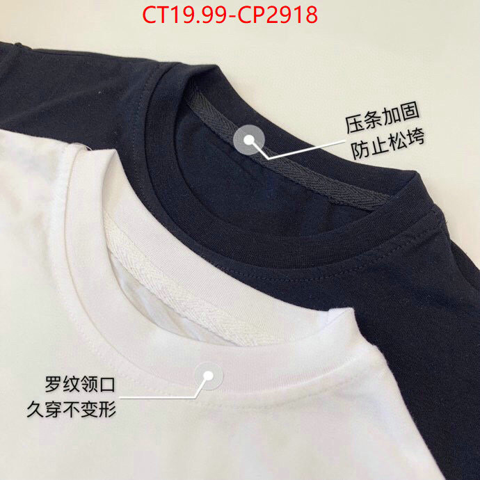 ID: CP2918