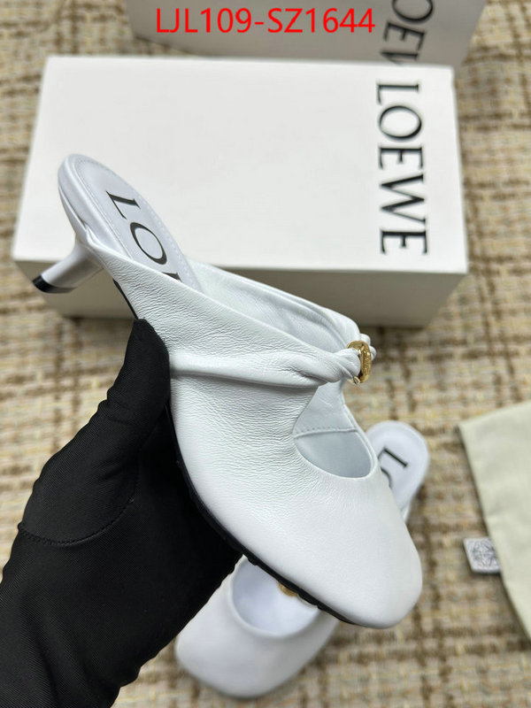 Women Shoes-Loewe shop now ID: SZ1644 $: 109USD