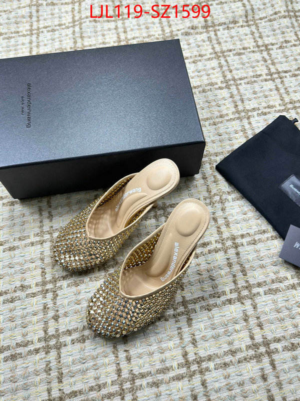 Women Shoes-Alexander Wang what is top quality replica ID: SZ1599 $: 119USD