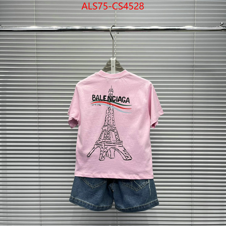 ID: CS4528