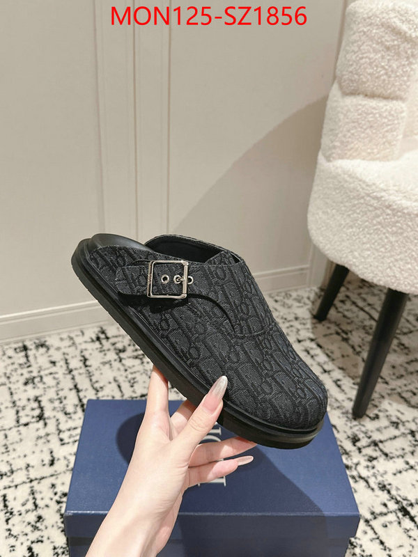 Men shoes-Dior top perfect fake ID: SZ1856 $: 125USD