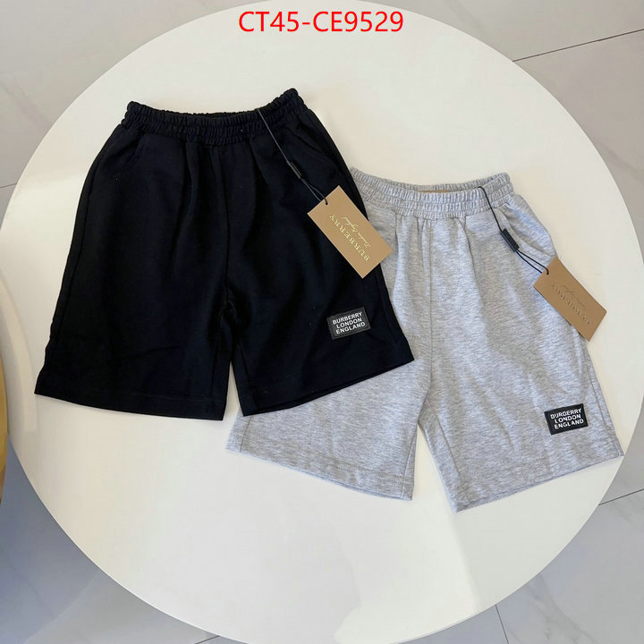 ID: CE9529