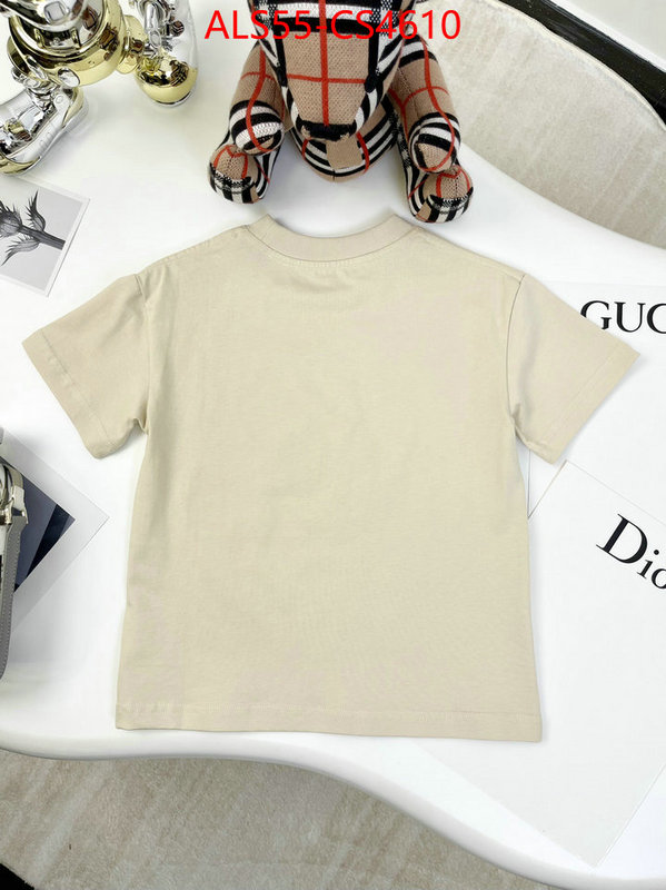 ID: CS4610