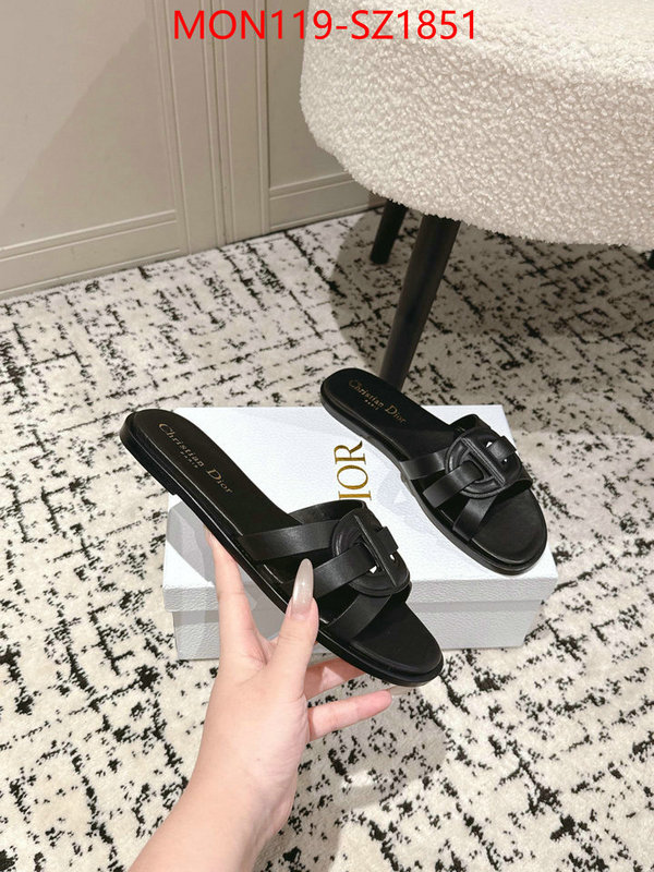 Women Shoes-Dior cheap replica designer ID: SZ1851 $: 119USD