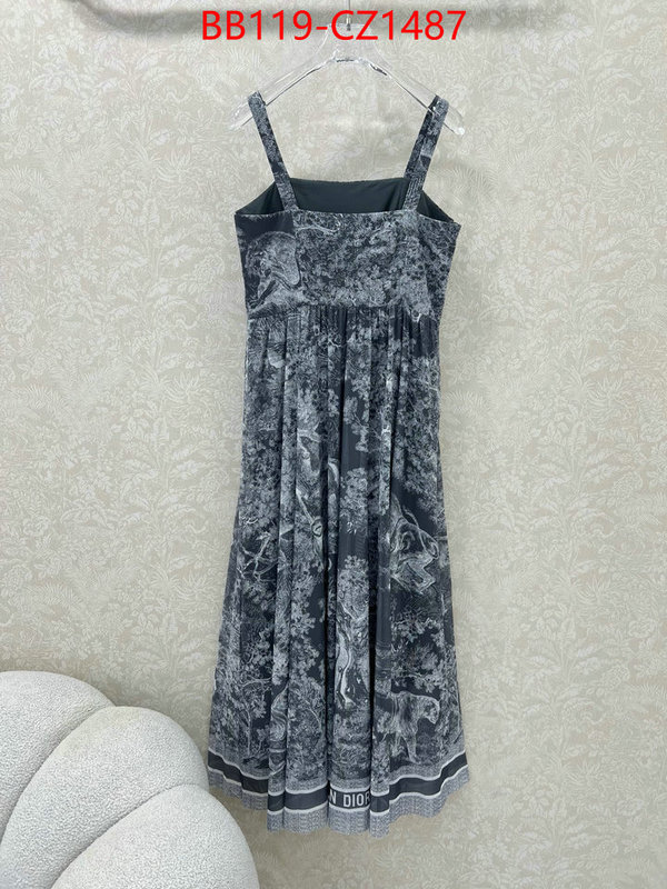 Clothing-Dior fashion designer ID: CZ1487 $: 119USD