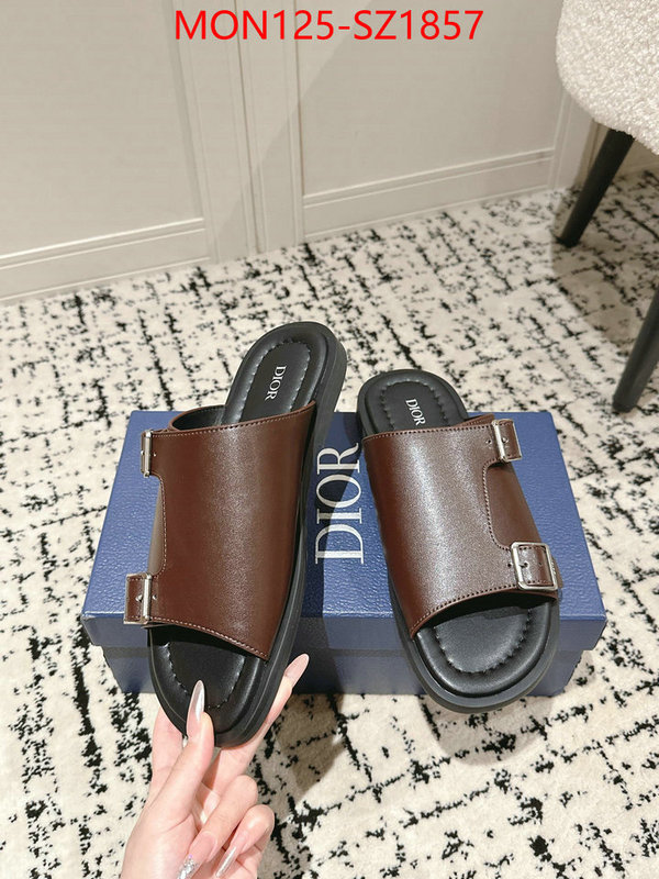 Men shoes-Dior top ID: SZ1857 $: 125USD