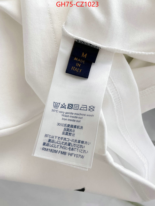 Clothing-LV online from china ID: CZ1023 $: 75USD