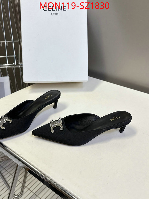Women Shoes-CELINE sellers online ID: SZ1830 $: 119USD