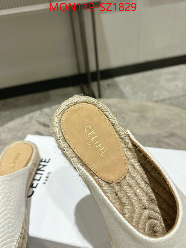 Women Shoes-CELINE what are the best replica ID: SZ1829 $: 119USD