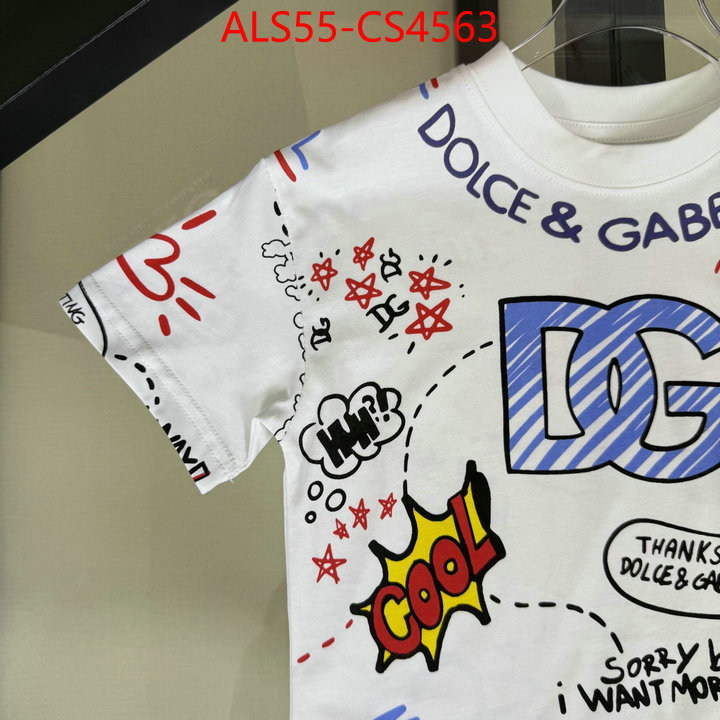 ID: CS4563