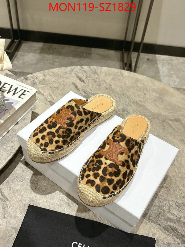 Women Shoes-CELINE what are the best replica ID: SZ1829 $: 119USD