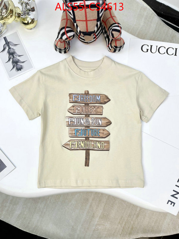 ID: CS4613