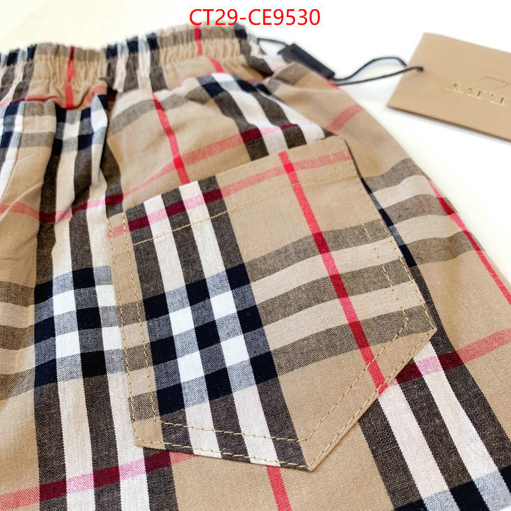 ID: CE9530