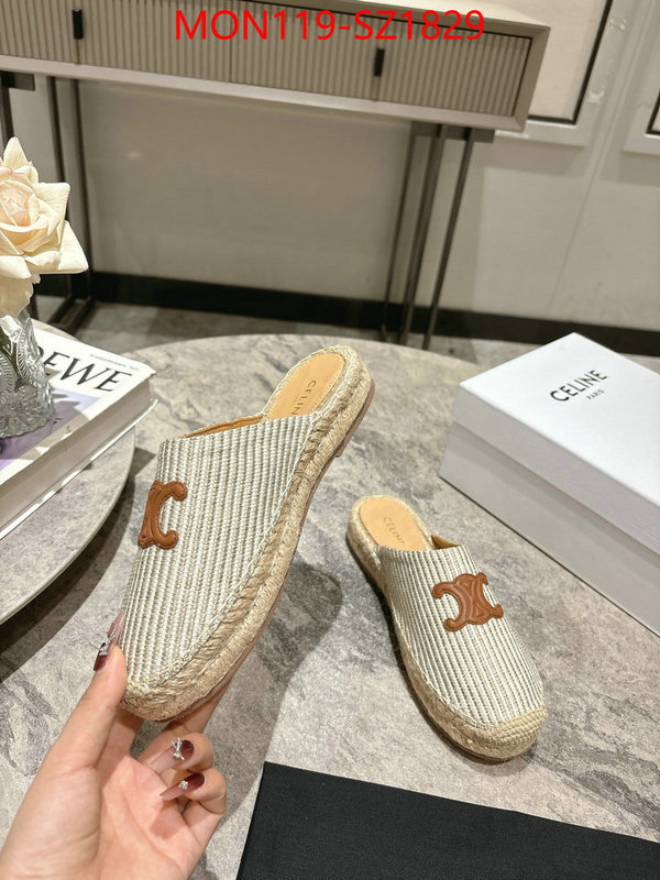 Women Shoes-CELINE what are the best replica ID: SZ1829 $: 119USD