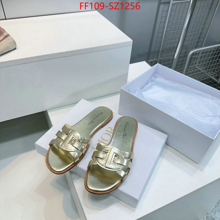 Women Shoes-Dior buying replica ID: SZ1256 $: 109USD
